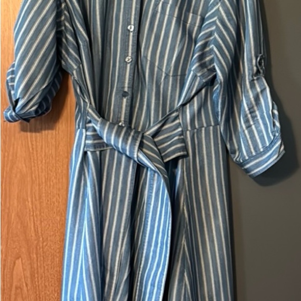 Ashley Stewart Blue Striped Dress